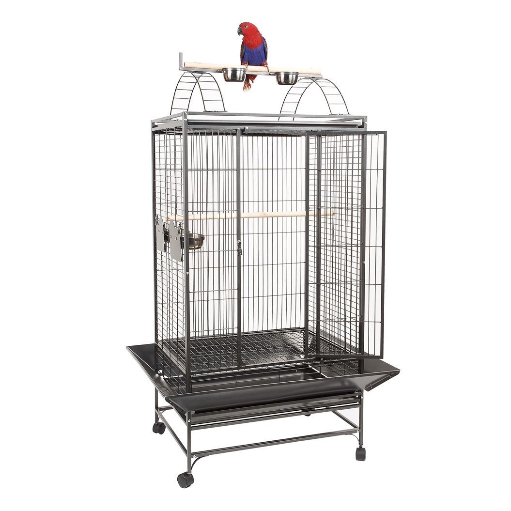 Photo inspiration: Cages Play Stands Photo Inspiration