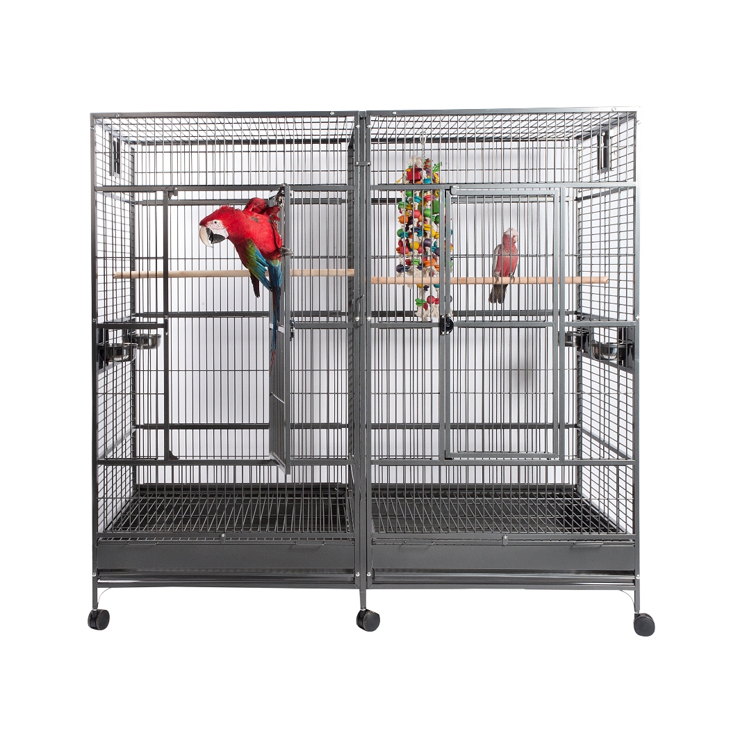 Curated visual reference: Fresh Look at Cages Play Stands