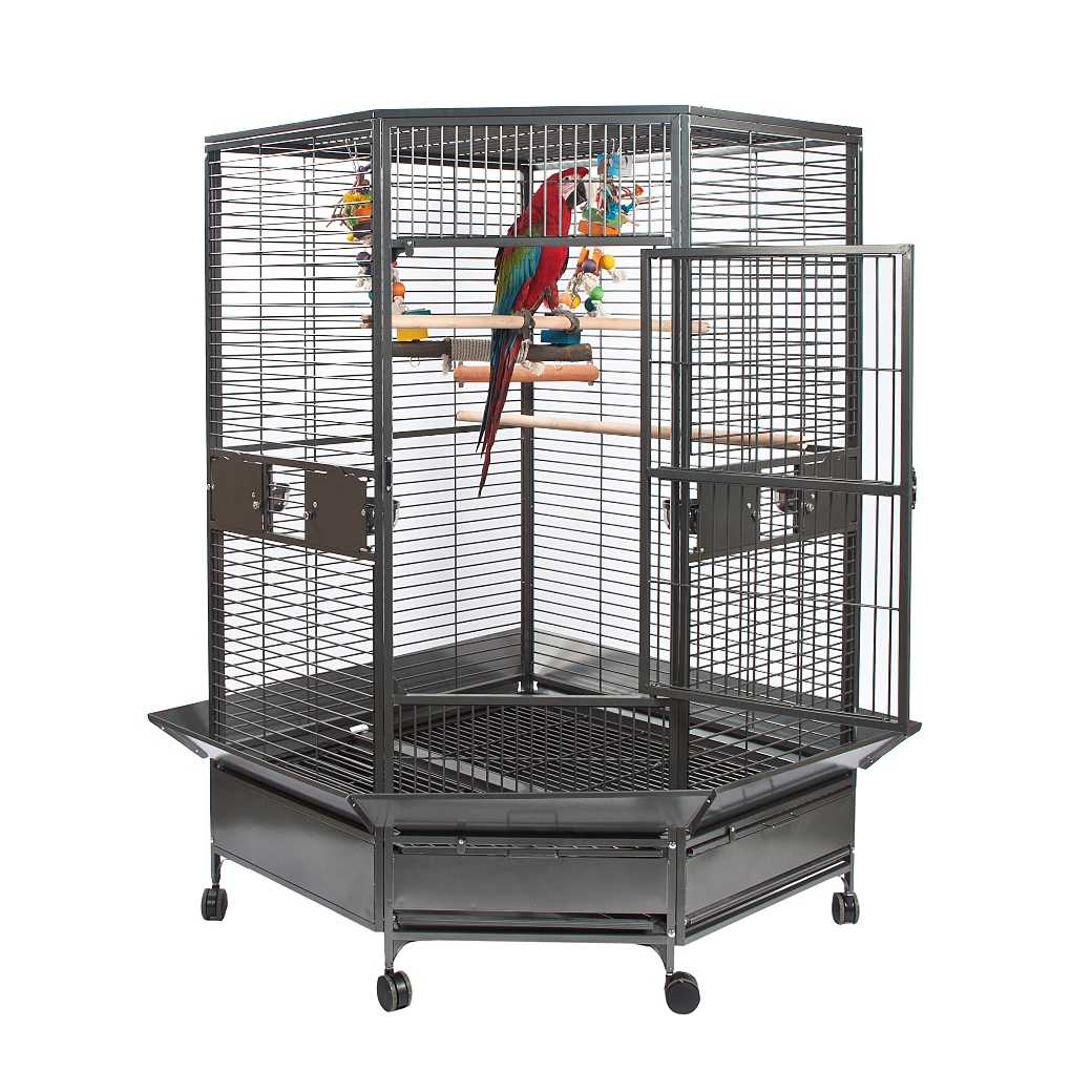 Photo inspiration: Curated Brilliant Aviary Cages With Playstands And Input Controls Gallery View 19